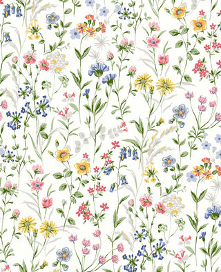 PR11901 wildflowers floral prepasted wallpaper from Seabrook Designs