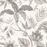 RY30205 gray rainforest leaves botanical wallpaper from the Boho Rhapsody collection by Seabrook designs