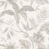 RY30208 white rainforest leaves botanical wallpaper from the Boho Rhapsody collection by Seabrook designs