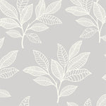 RY30800 gray paradise leaves botanical wallpaper from the Boho Rhapsody collection by Seabrook Designs