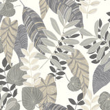 RY30908 gray tropicana leaves botanical wallpaper from the Boho Rhapsody collection by Seabrook Designs