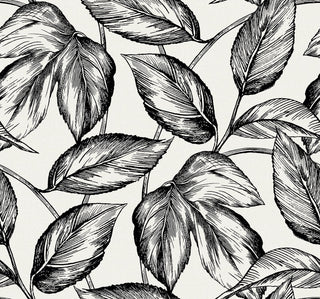 SC20000 leaf botanical wallpaper from the Summer House collection by Seabrook Designs