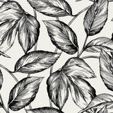 SC20000 leaf botanical wallpaper from the Summer House collection by Seabrook Designs