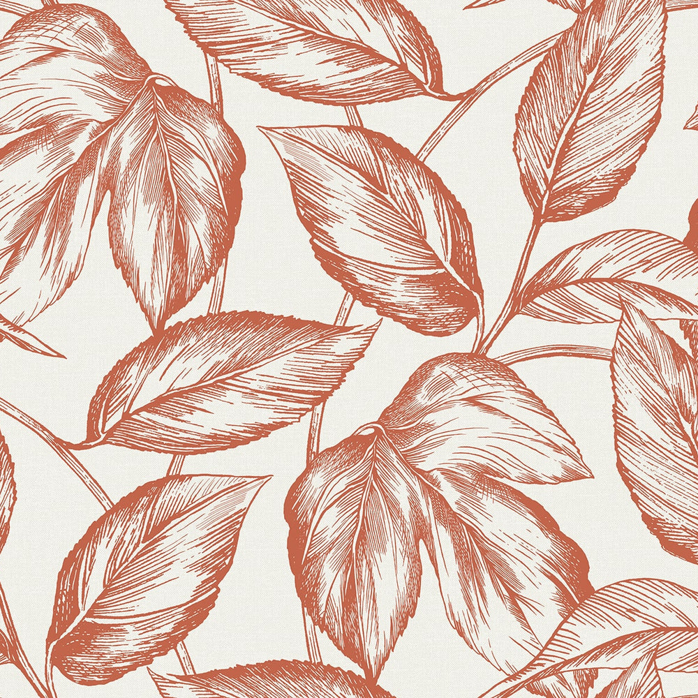 
                  
                    SC20001 leaf botanical wallpaper from the Summer House collection by Seabrook Designs
                  
                