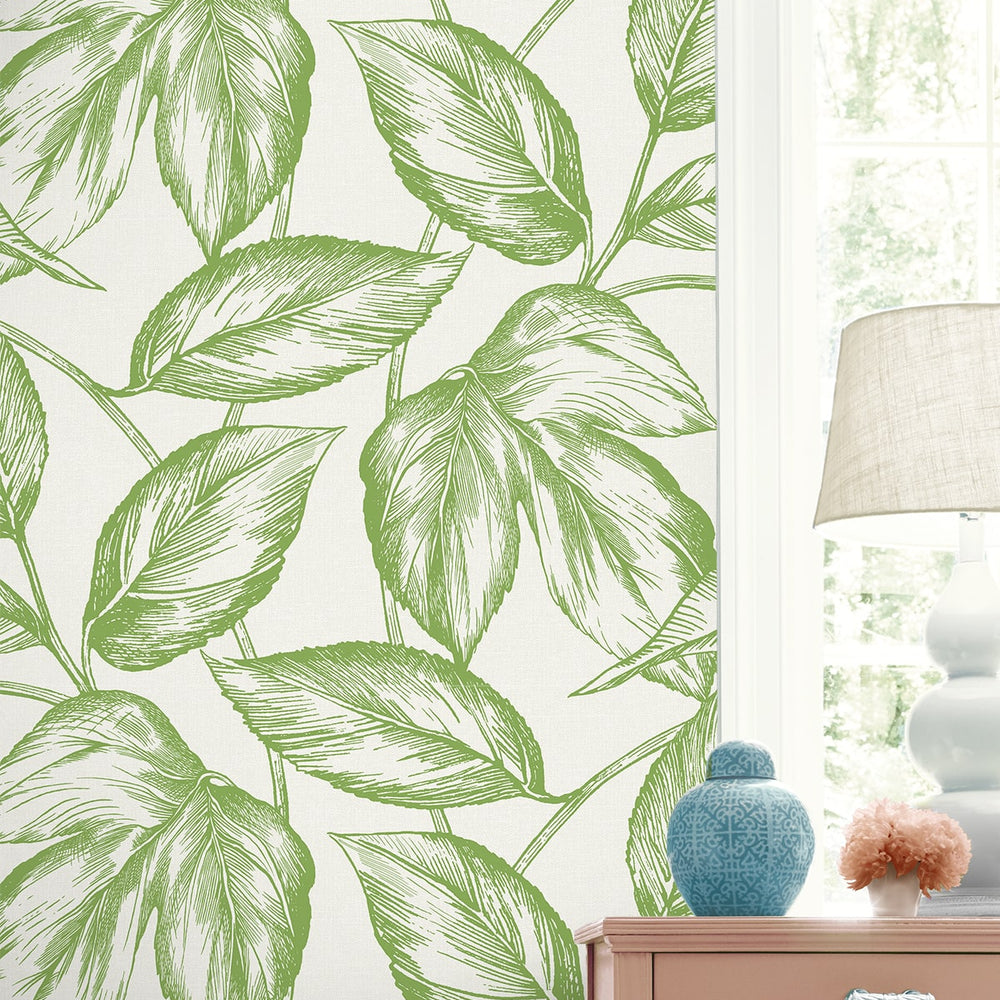 
                  
                    SC20004 leaf botanical wallpaper decor from the Summer House collection by Seabrook Designs
                  
                