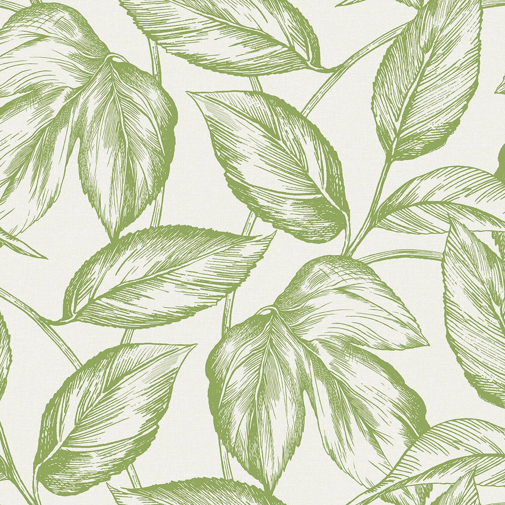 
                  
                    SC20004 leaf botanical wallpaper from the Summer House collection by Seabrook Designs
                  
                