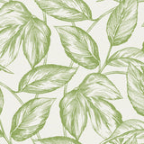 SC20004 leaf botanical wallpaper from the Summer House collection by Seabrook Designs