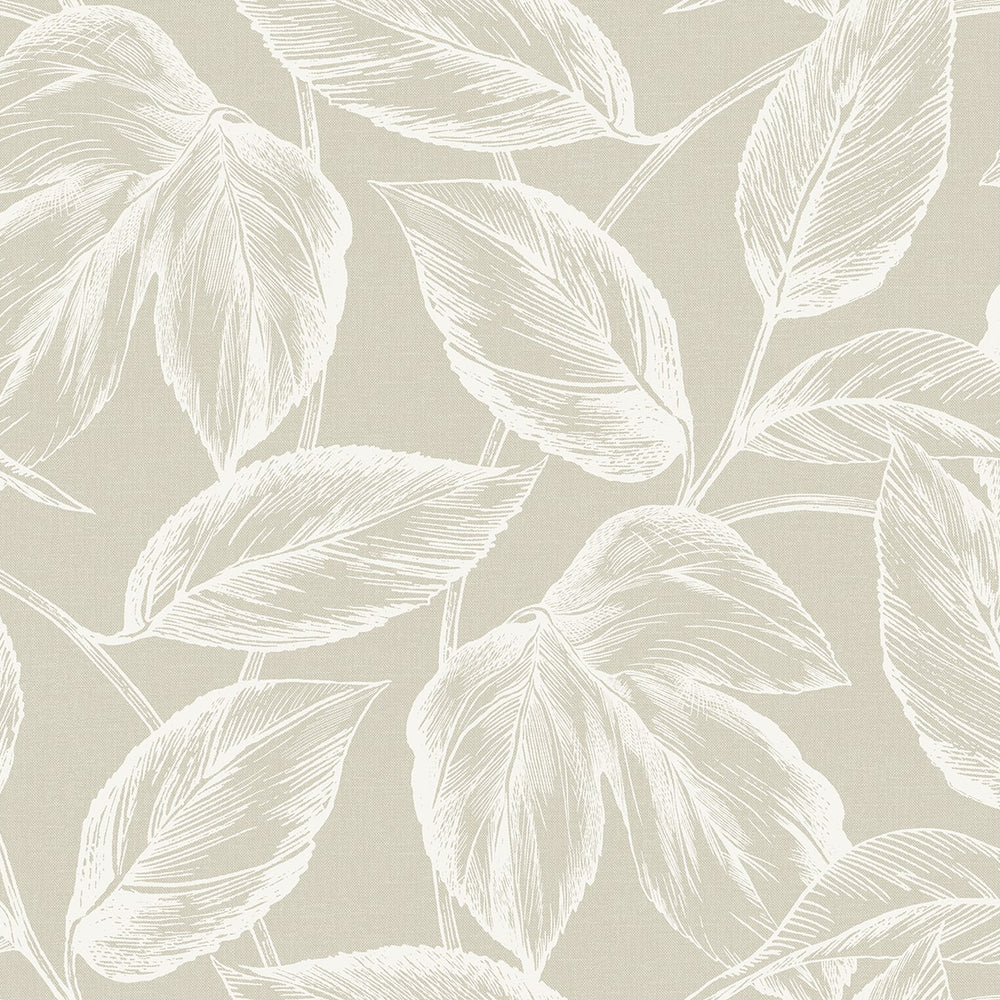 
                  
                    SC20005 leaf botanical wallpaper from the Summer House collection by Seabrook Designs
                  
                