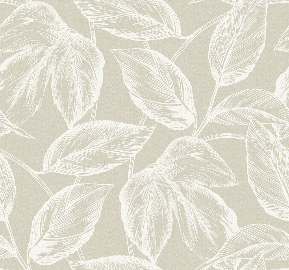 SC20005 leaf botanical wallpaper from the Summer House collection by Seabrook Designs