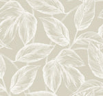 SC20005 leaf botanical wallpaper from the Summer House collection by Seabrook Designs