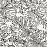 SC20200 palm leaf wallpaper from the Summer House collection by Seabrook Designs