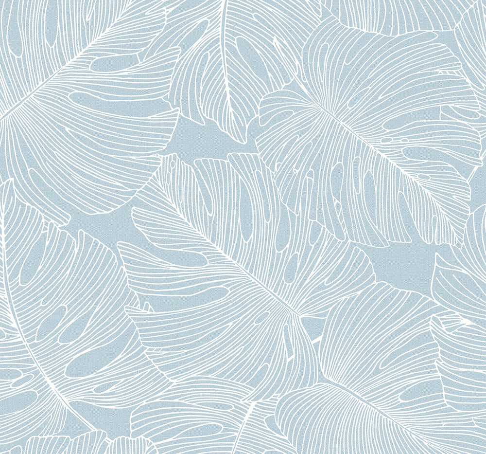 SC20202 palm leaf wallpaper from the Summer House collection by Seabrook Designs
