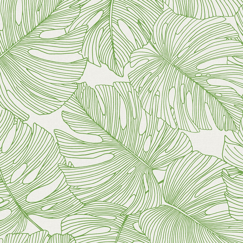 
                  
                    SC20204 palm leaf wallpaper from the Summer House collection by Seabrook Designs
                  
                