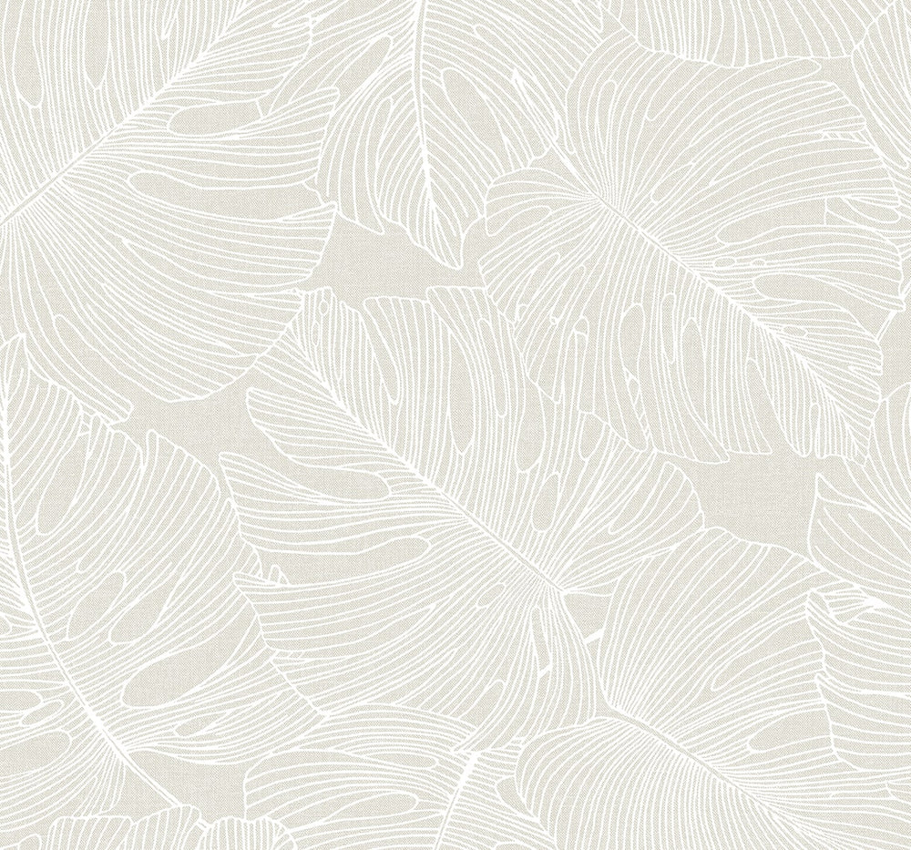 SC20205 palm leaf wallpaper from the Summer House collection by Seabrook Designs