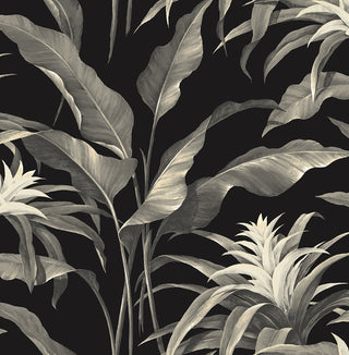 SG10300 Palma botanical peel and stick wallpaper from the Sojourn Collection by Stacy Garcia Home