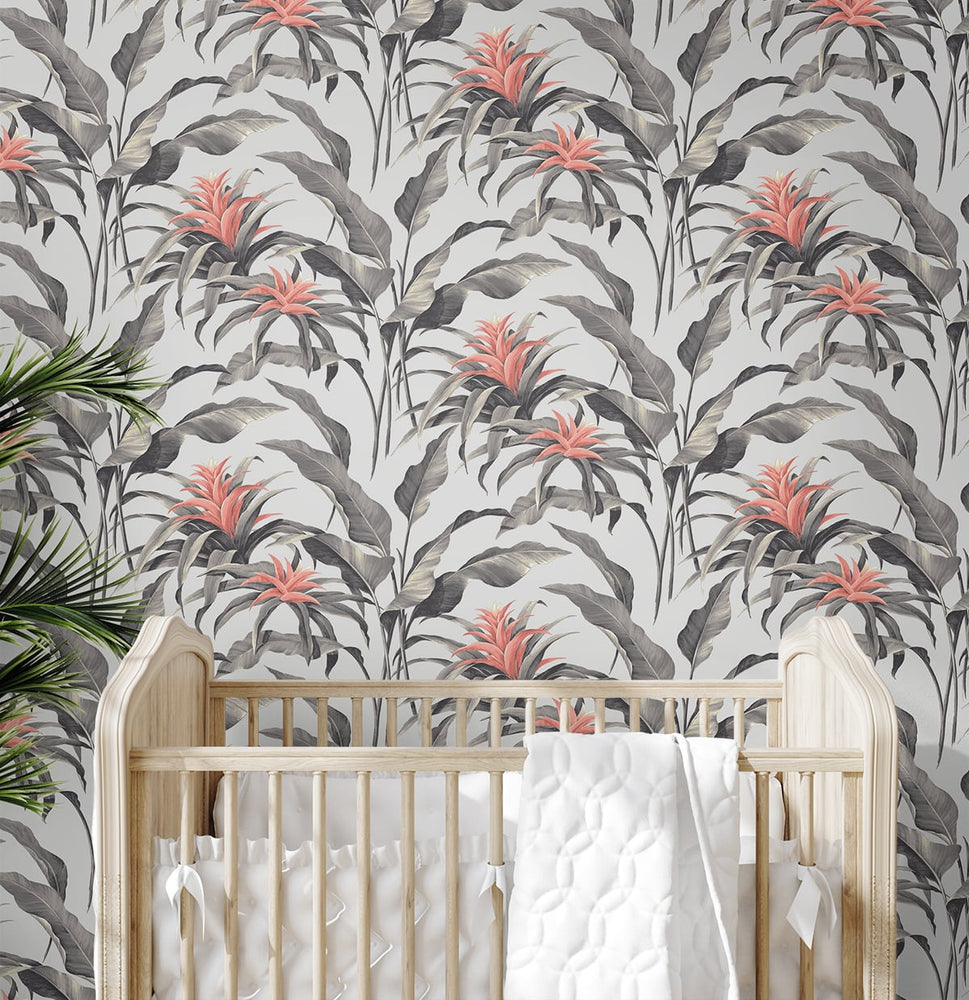 SG10301 Palma botanical peel and stick wallpaper nursery from the Sojourn Collection by Stacy Garcia Home