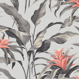 SG10301 Palma botanical peel and stick wallpaper from the Sojourn Collection by Stacy Garcia Home