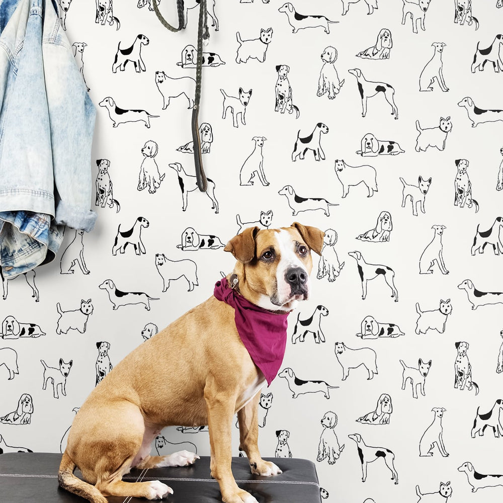 SG10400 best in show dog peel and stick removable wallpaper mudroom from the Sojourn collection by Stacy Garcia Home