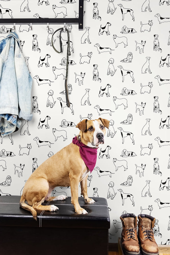 SG10400 best in show dog peel and stick removable wallpaper mudroom from the Sojourn collection by Stacy Garcia Home