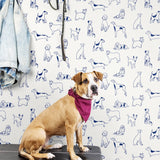 SG10402 best in show dog peel and stick removable wallpaper mudroom from the Sojourn collection by Stacy Garcia Home