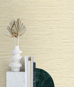 SG11403 Saybrook faux rushcloth peel and stick wallpaper accent from Stacy Garcia