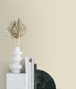 SG11503 seaside faux sisal peel and stick wallpaper entryway from Stacy Garcia Home