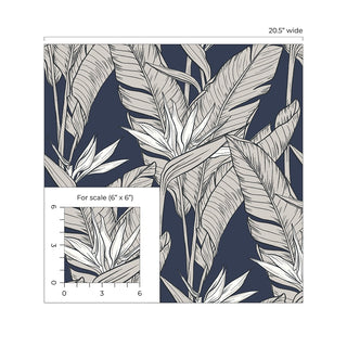 Birds of paradise peel and stick wallpaper scale SG11902 from Stacy Garcia Home