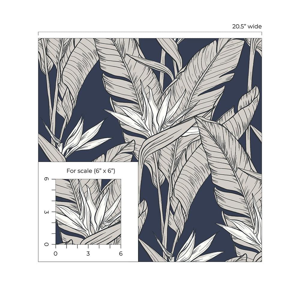 Birds of paradise peel and stick wallpaper scale SG11902 from Stacy Garcia Home