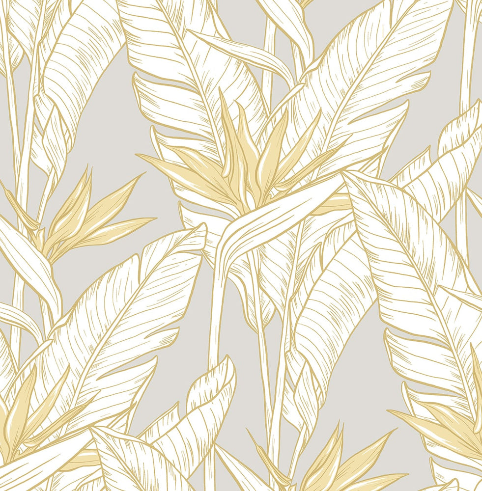 Birds of paradise peel and stick wallpaper SG11903 from Stacy Garcia Home