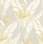 Birds of paradise peel and stick wallpaper SG11903 from Stacy Garcia Home