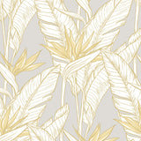 Birds of paradise peel and stick wallpaper SG11903 from Stacy Garcia Home