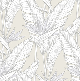 Birds of paradise peel and stick wallpaper SG11905 from Stacy Garcia Home
