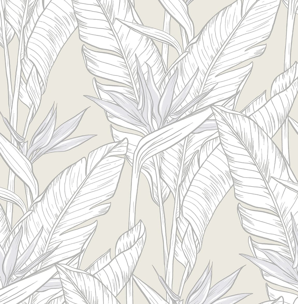 Birds of paradise peel and stick wallpaper SG11905 from Stacy Garcia Home