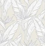 Birds of paradise peel and stick wallpaper SG11905 from Stacy Garcia Home