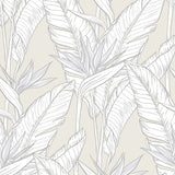 Birds of paradise peel and stick wallpaper SG11905 from Stacy Garcia Home