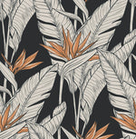 Birds of paradise peel and stick wallpaper SG11910 from Stacy Garcia Home