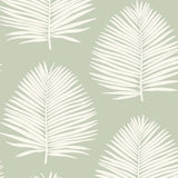 Palm wallpaper SL80704 from The Simple Life collection by Seabrook Designs