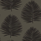 Palm wallpaper SL80710 from The Simple Life collection by Seabrook Designs