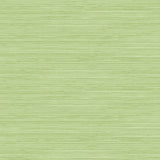 TA21704 Jamaica faux grasscloth wallpaper from the Tortuga collection by Seabrook Designs