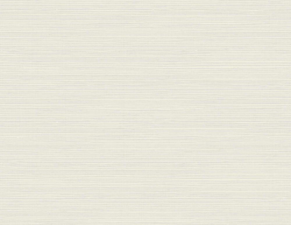 
                  
                    TA21705 Jamaica faux grasscloth wallpaper from the Tortuga collection by Seabrook Designs
                  
                