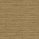 TC70317 neutral shantung silk embossed vinyl wallpaper from the More Textures collection by Seabrook Designs
