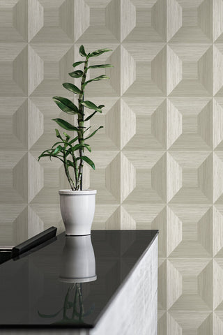 TC70605 plant tan squared away geometric embossed vinyl wallpaper from the More Textures collection by Seabrook Designs