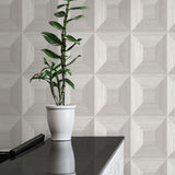 TC70618 plant gray squared away geometric embossed vinyl wallpaper from the More Textures collection by Seabrook Designs