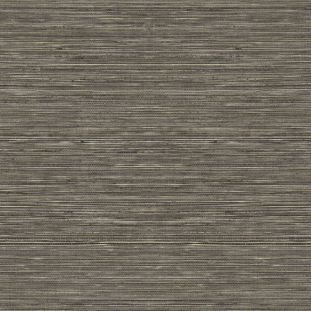 
                  
                    TC70717 tan sisal hemp grasscloth embossed vinyl wallpaper from the More Textures collection by Seabrook Designs
                  
                
