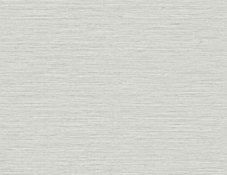 TG60333 faux sisal textured vinyl wallpaper from the Tedlar Textures collection by DuPont