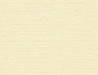 TG60337 faux sisal textured vinyl wallpaper from the Tedlar Textures collection by DuPont