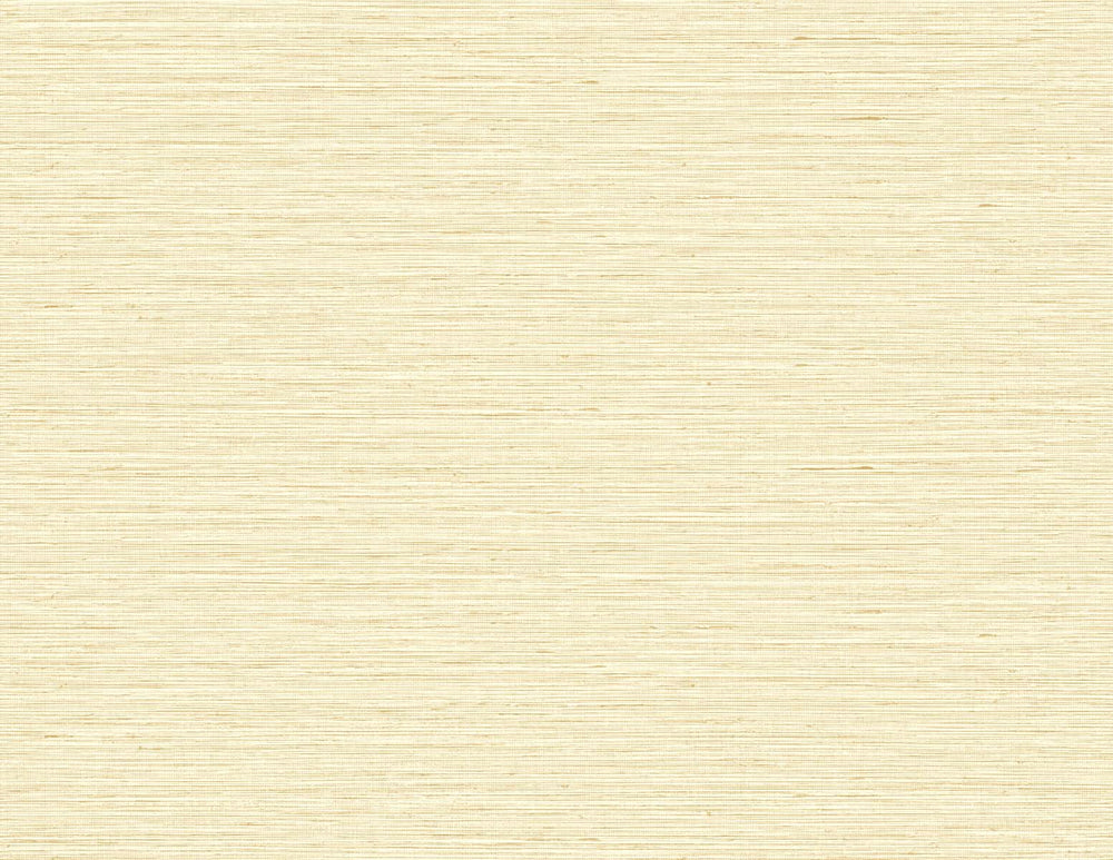 TG60337 faux sisal textured vinyl wallpaper from the Tedlar Textures collection by DuPont