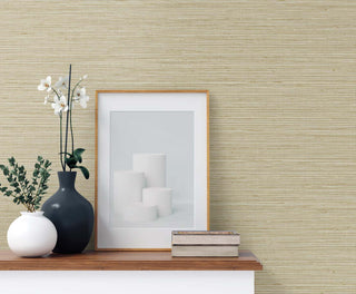 TG60338 faux sisal textured vinyl wallpaper decor from the Tedlar Textures collection by DuPont