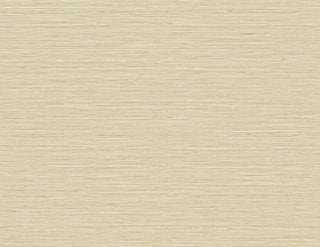 TG60338 faux sisal textured vinyl wallpaper from the Tedlar Textures collection by DuPont