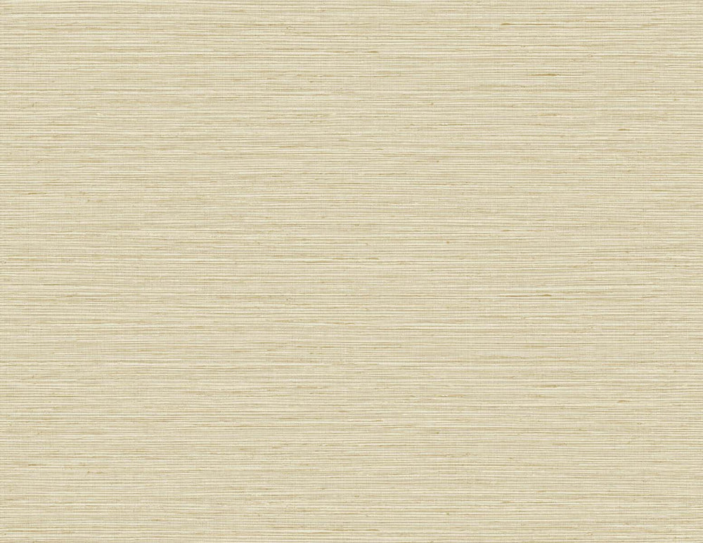 TG60338 faux sisal textured vinyl wallpaper from the Tedlar Textures collection by DuPont